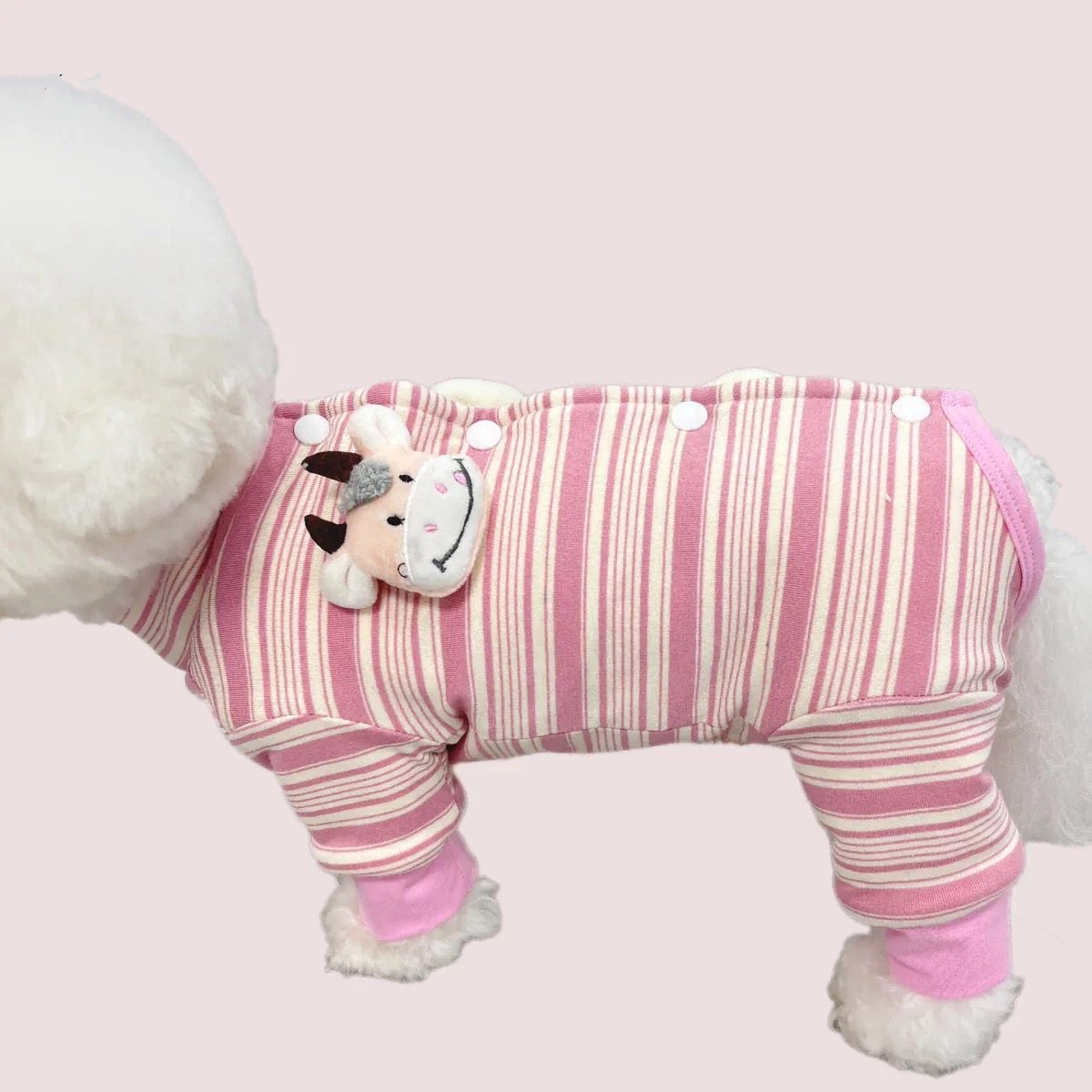 【半包肚】条纹牛叉叉针织弹力秋冬款保暖加厚四脚宠物狗狗衣服,宠物/宠物食品及用品,猫宠物服装/雨衣（新）,淘宝优惠券,粉丝福利购,淘宝优惠卷