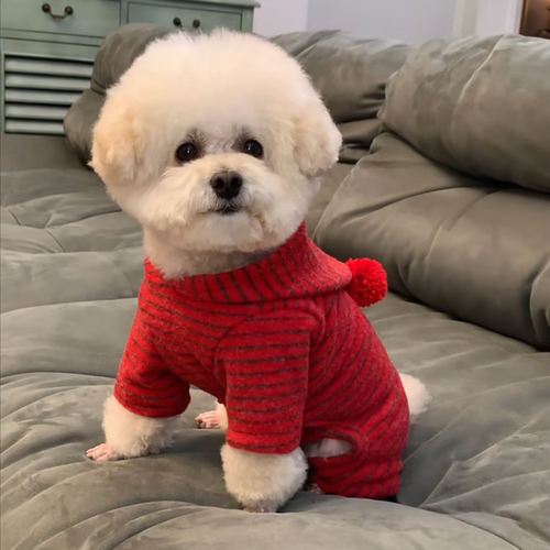 狗狗猫咪半包肚衣宠物衣服德绒秋冬款四脚衣小型犬泰迪保暖喜庆红