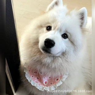 小中大型犬围兜狗狗口水巾围巾萨摩耶金毛哈士奇阿拉斯加狗狗围脖