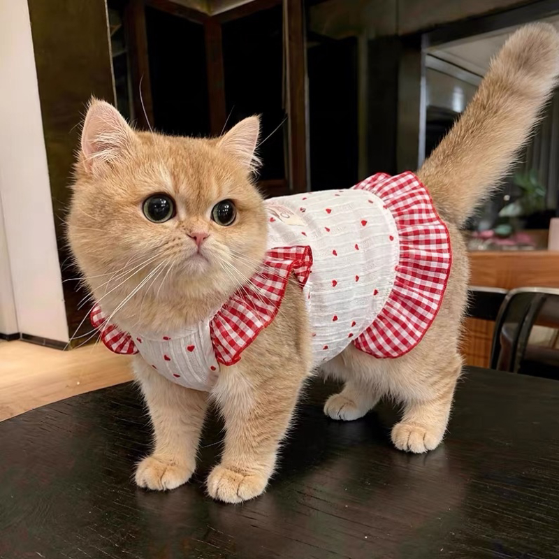 春夏清新碎花猫狗连衣裙