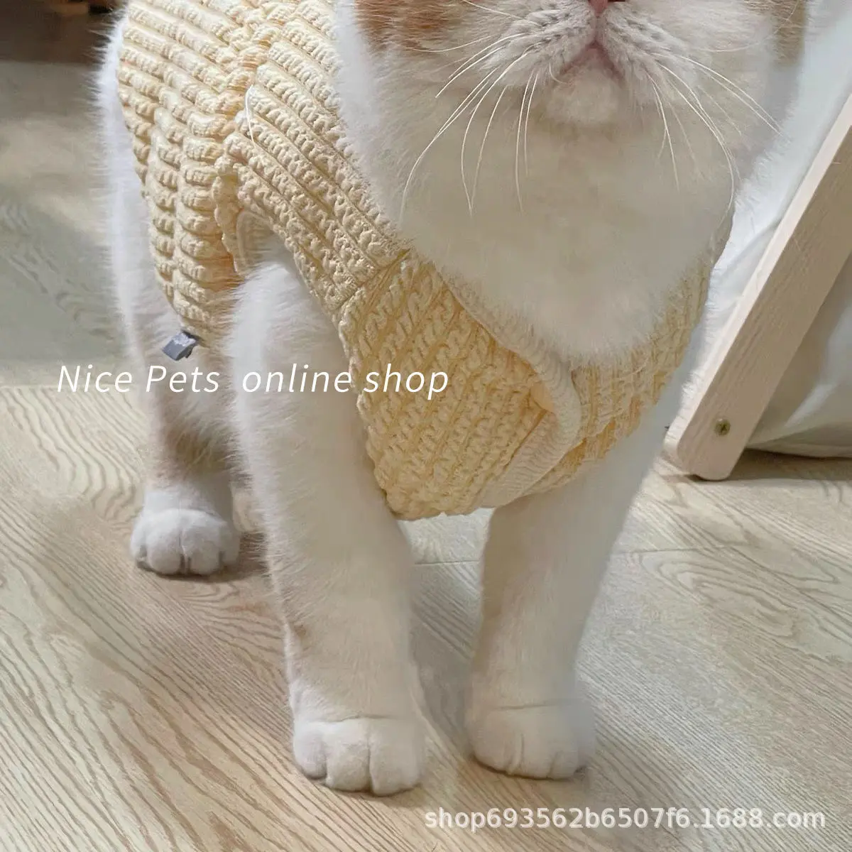 可爱毛线马甲宠物春秋薄款猫咪衣服布偶蓝猫狗狗加绒保暖小背心