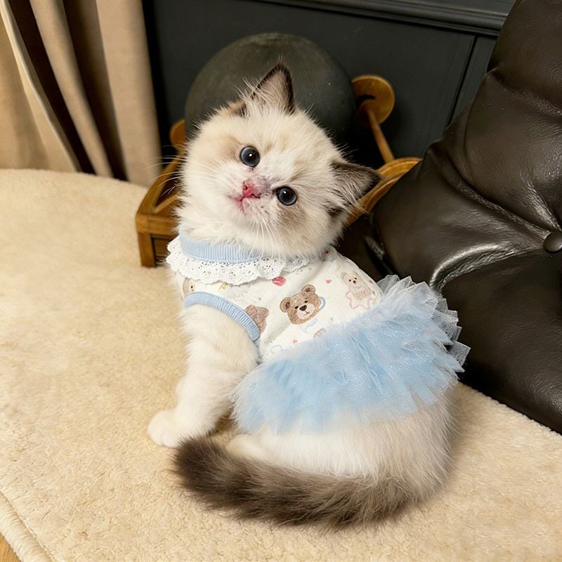 宠物狗狗衣服可爱卡通印花蓬蓬裙春夏季猫咪芭蕾纱裙公主风连身裙