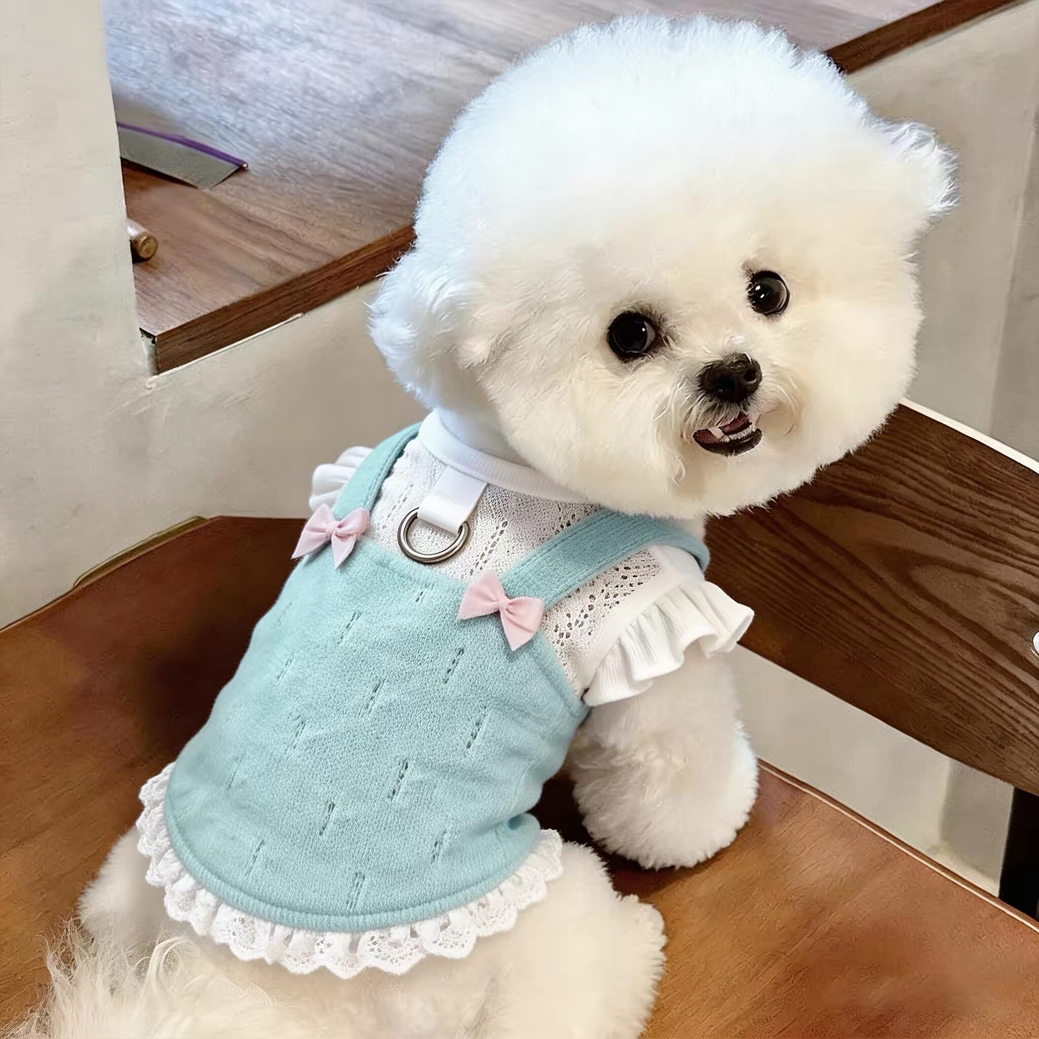宠物狗狗衣服夏季薄款背心小型犬比熊泰迪2026新款猫咪吊带可牵引