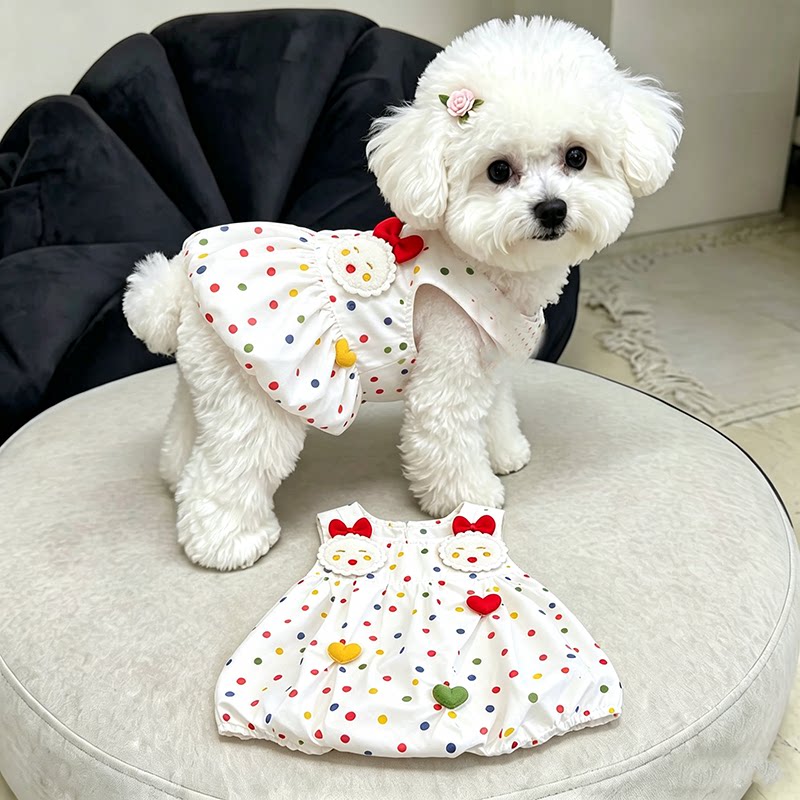 彩色波点连衣裙宠物衣服猫咪小型犬小体狗狗夏季吊带裙子马尔济斯