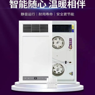 博尔美浴霸集成吊顶风暖灯暖卫生间多功能300*600取暖器M260SM332