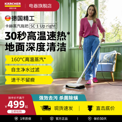 德国卡赫蒸汽机拖把高温祛污杀菌