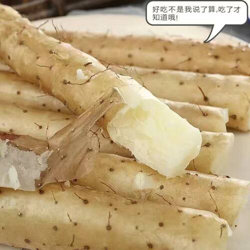 河北正宗小白嘴山药特产新鲜铁棍山药山药粉淮山药断节5斤包邮