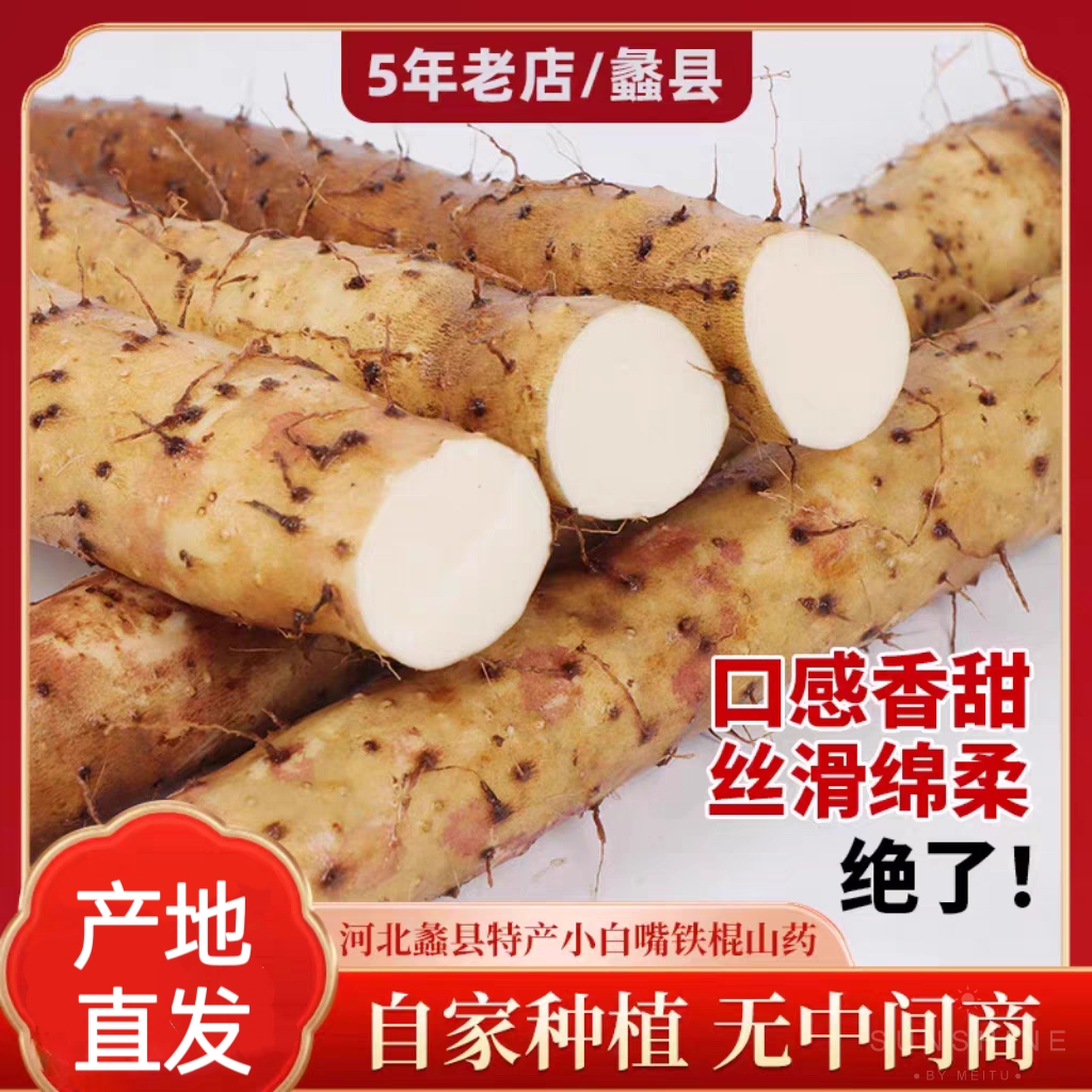 河北白嘴山药新鲜农家铁棍山药