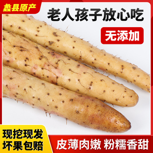 河北铁棍山药小白嘴山药山药段儿小山药丑山药特价款长短粗细随机