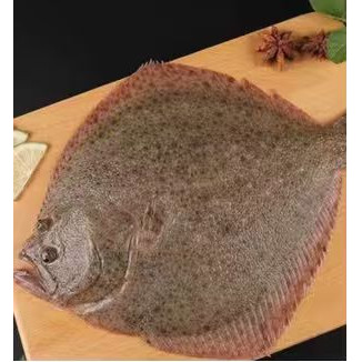 喜得佳新鲜冷冻比目鱼整条海鲜水产生鲜食材多宝鱼海捕,水产肉类/新鲜蔬果/熟食,比目鱼/多宝鱼/鸦片鱼/龙利鱼,淘宝优惠券,粉丝福利购,淘宝优惠卷