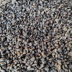 桂林全州农家豆豉淡豆矢石塘干豆矢无盐