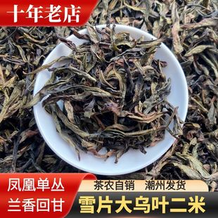 雪片大乌叶二米粗茶高香兰花香凤凰单枞乌龙茶高性价比口粮茶500g