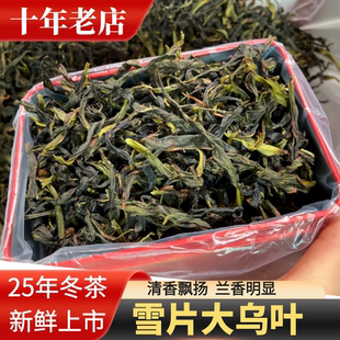 2025新茶雪片大乌叶高香型冬茶凤凰单丛潮州茶叶特产口粮茶500g