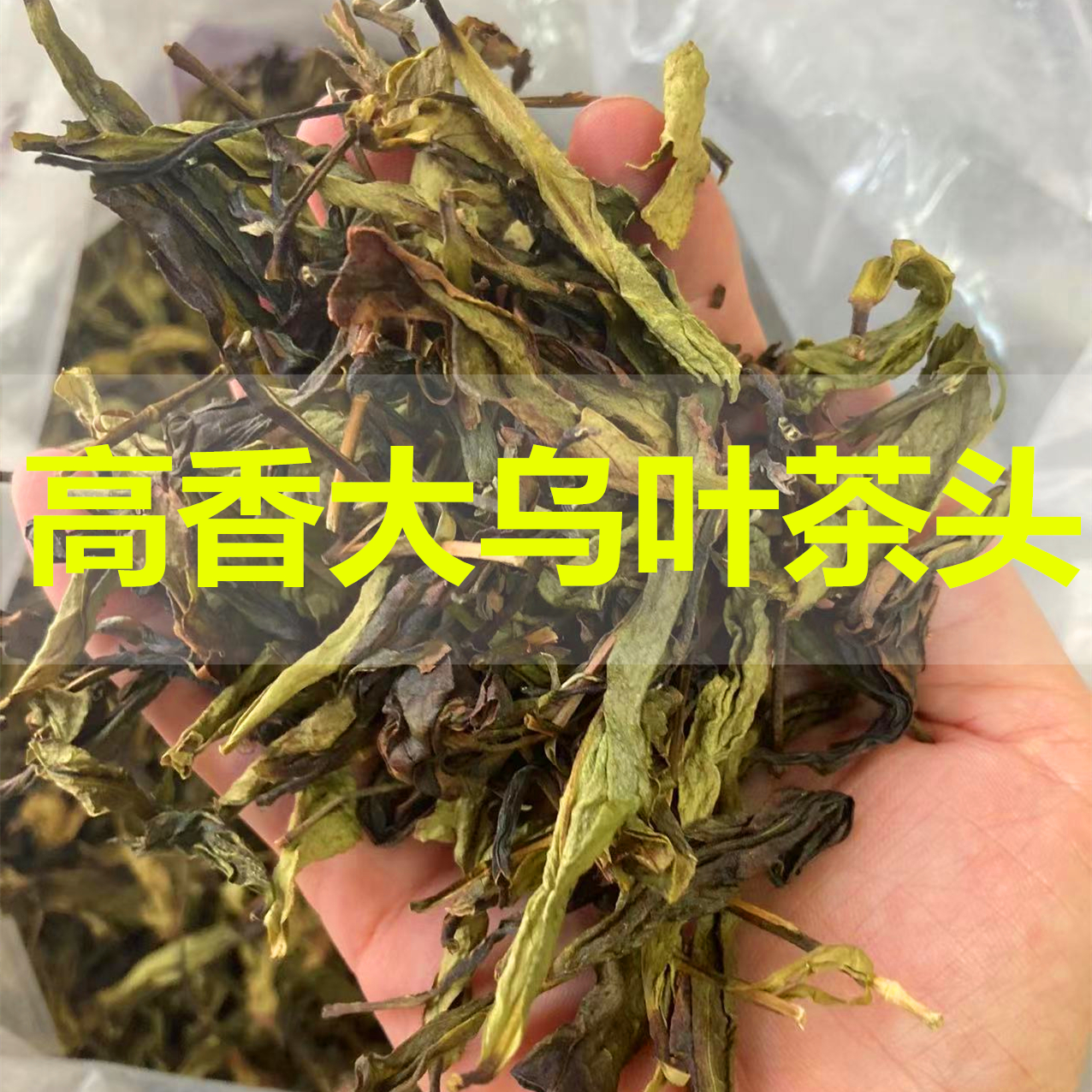 高香大乌叶茶头 清香型雪片茶头凤凰单丛黄片粗叶2024年新茶500g