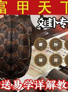 卦卜铜钱龟壳老式风水摇铜钱