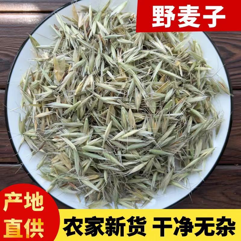 正宗2026年新鲜采摘野麦子500g