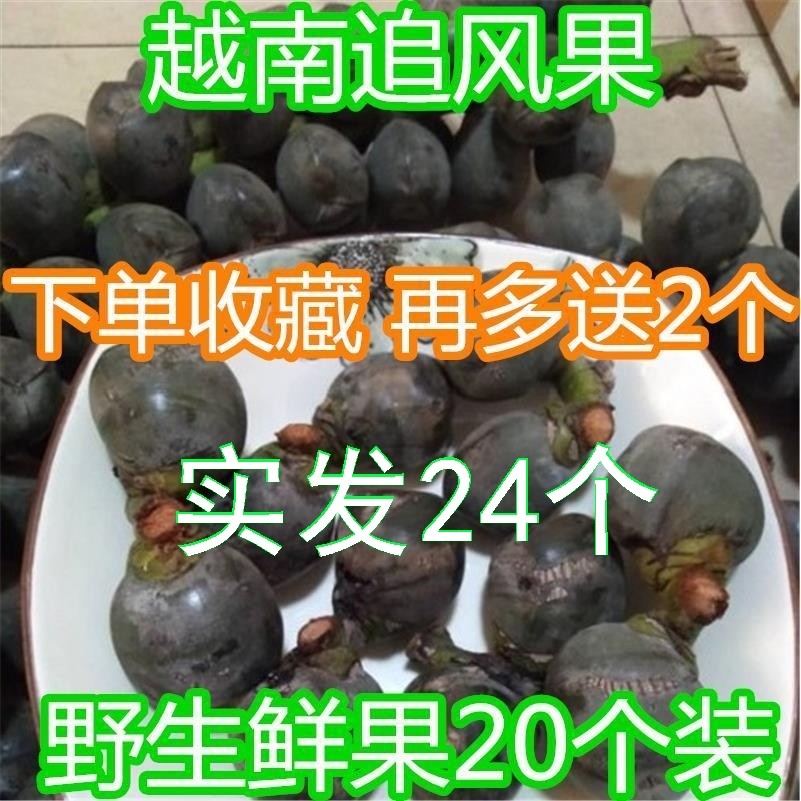 越南正宗新鲜追风果泡酒中药材刺虎鲜果12个一份涂皮肤外用包邮