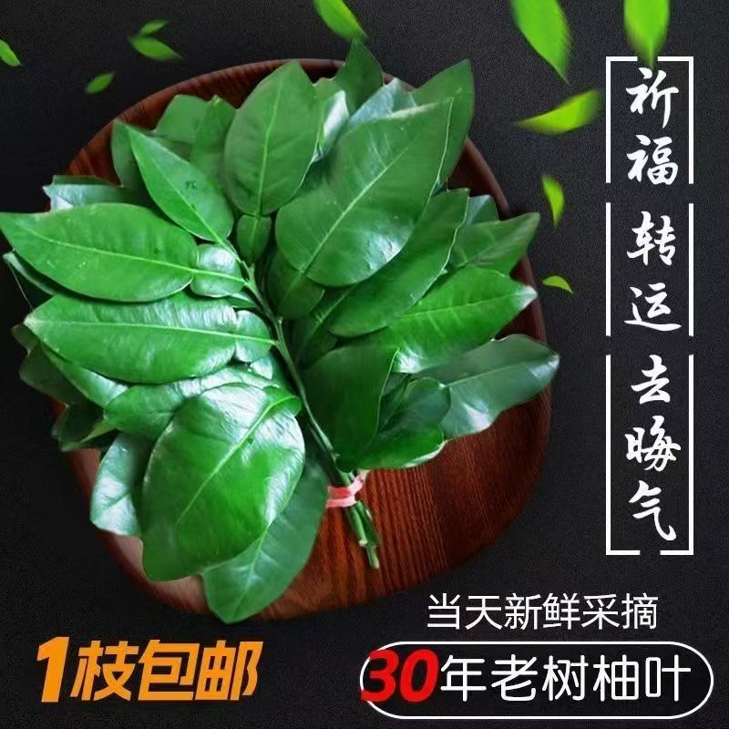 去晦气专用柚子叶乔迁新居出院出