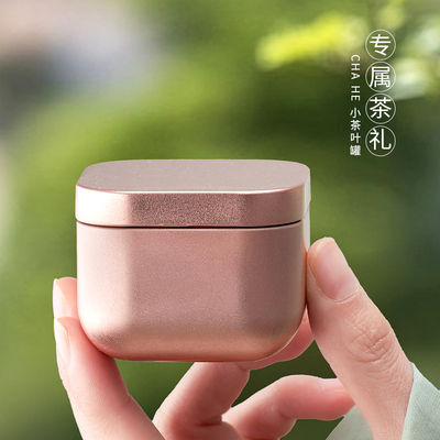 便携式迷你马口铁小号茶叶铁罐