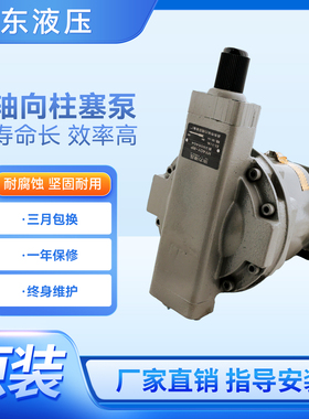 HY10Y25Y40Y63Y80Y107Y160Y180Y200Y225Y250YRP LP液压轴向柱塞泵