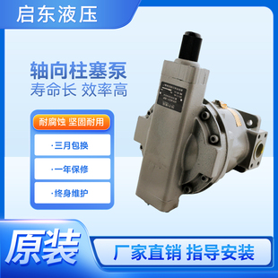 HY10Y25Y40Y63Y80Y107Y160Y180Y200Y225Y250YRP LP液压轴向柱塞泵