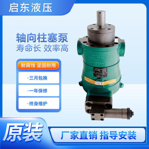 启东轴向柱塞泵恒压变量泵
