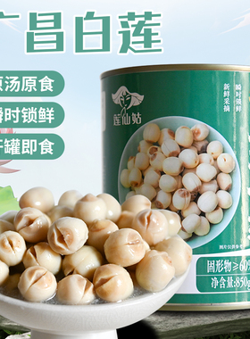 莲仙姑广昌白莲罐头850g 鲜莲子罐头 原汤无添加