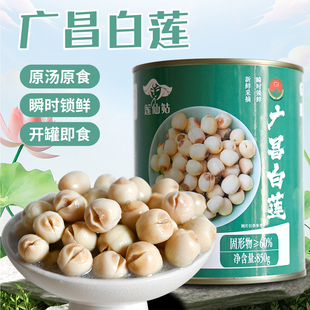 莲仙姑广昌白莲罐头850g 鲜莲子罐头 原汤无添加