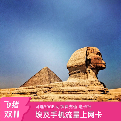 亿点 埃及手机流量上网卡4G高速旅游sim卡2G无限流量可续充电话卡