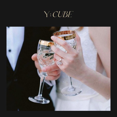 现货Y:CUBE葡萄牙进口Vista Alegre Palazzo Gold水晶金边红酒杯