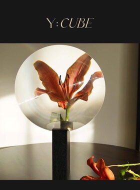 现货Y:CUBE法国Maisondada Narcisse圆形镜几何木质装饰摆件花瓶