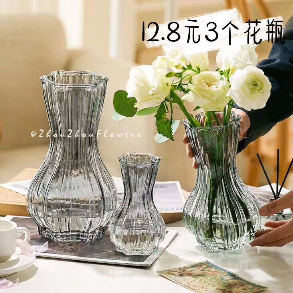 周周家高级感蒜头造型花瓶透明大号水养鲜花绿植客厅插花现代简约