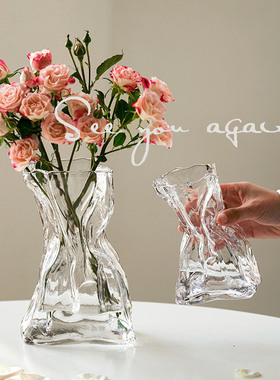 高级感简约创意不规则民宿花瓶透明玻璃客厅桌面插花水养装饰摆件