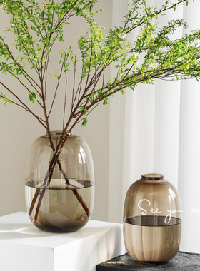 花瓶玻璃轻奢高级感透明水培雪柳鲜花专用小口径大肚插花装饰摆件