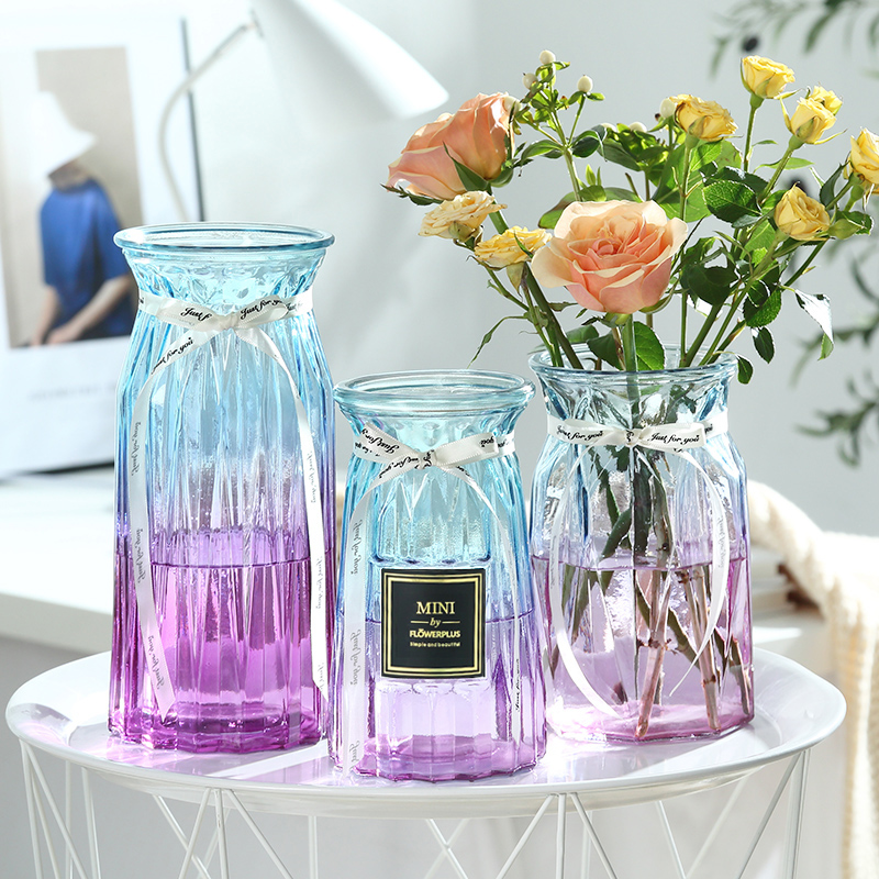 北欧ins风创意玻璃花瓶水养鲜花百合富贵竹插花客厅餐桌装饰摆件