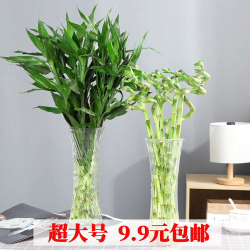 大号简约水培植物百合桌面富贵竹