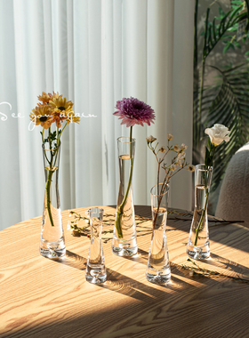 高级感ins风迷你精致小花瓶玻璃透明水养插花客厅小口径桌面摆件