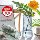 Чистая красная северная световая роскошная роскошная золотая стеклянная ваза Прозрачная аквакультура, сушеный цветок цветочный цветок гостиная домохозяйственные украшения