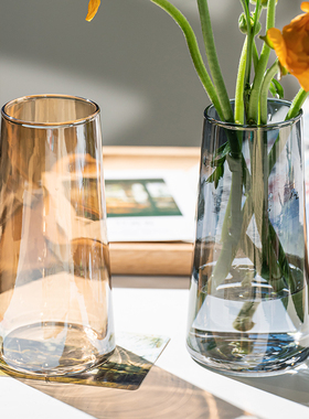 北欧简约ins风轻奢创意玻璃花瓶透明水培插花鲜花小摆件客厅餐桌