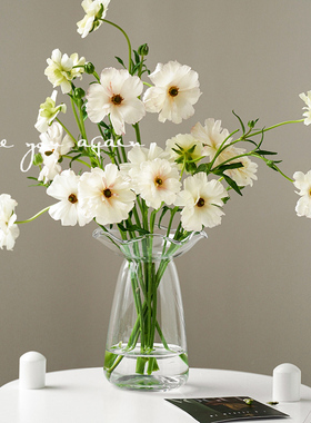 高级感ins风花瓶摆件北欧简约透明玻璃插花瓶水培郁金香餐桌装饰