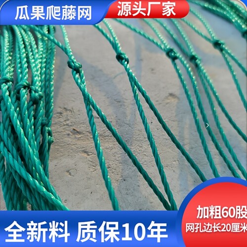 聚乙烯爬藤网百香果葡萄园