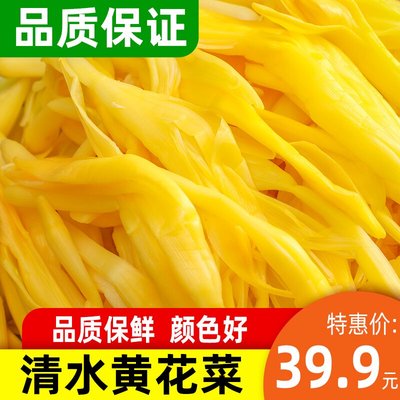 新鲜清水黄花菜10斤火锅店麻辣烫酒店优选好食材