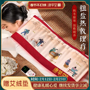 康草堂盐袋电加热家用海盐粗盐热敷包艾草艾灸包电热理疗袋子全身