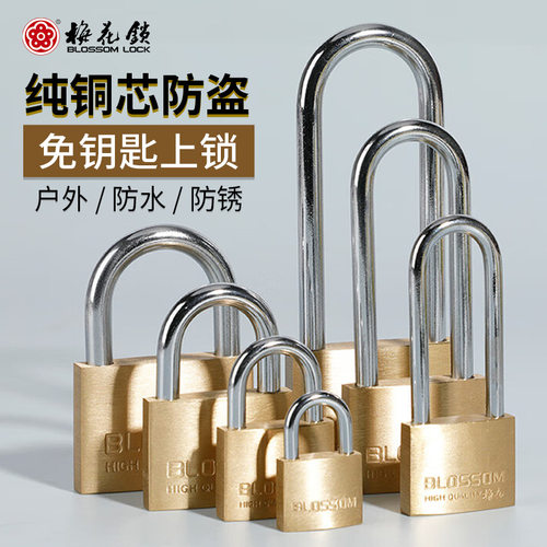 梅花BC07全铜挂锁户外防水防锈挂锁电力锁铁路互开挂锁机箱