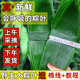 箬叶端午节包粽子新叶现摘商用 批发特大码 粽子叶新鲜粽叶大号 免邮