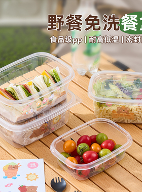 一次性餐盒饭盒长方形免洗野餐透明带盖打包盒千层蛋糕水果捞盒子