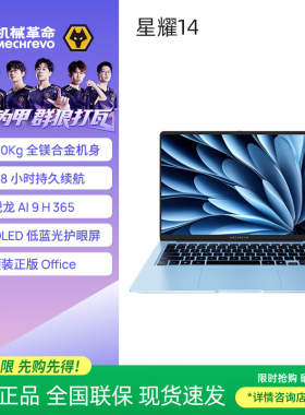 MECHREVO/机械革命 星耀 14 AI 9H 365 办公笔记本电脑轻薄游戏本
