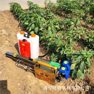 防疫消毒弥雾机 便携式农田烟雾一体机 脉冲电启动弥雾机