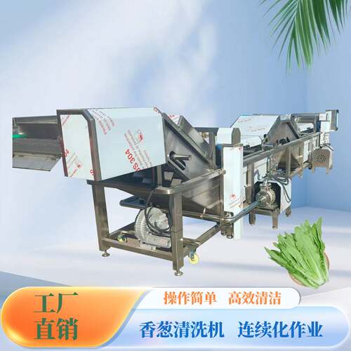 全自动香葱清洗机设备气泡翻滚高压喷淋清洗净菜加工食品机械设备