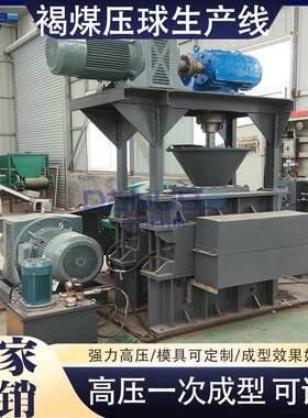 印尼褐煤压球生产线 Brown Coal Ball Pressing Production Line